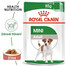 ROYAL CANIN Mini adult 24x85 g