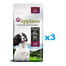 APPLAWS Adult Dog Small Medium Chicken with Lamb 6 kg (3x2 kg)
