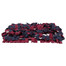 TRIXIE Dog Activity SNIFFING CARPET čichací koberec 50 x 34 cm