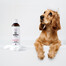 PETS Shampoo Camomile šampon pro citlivou pokožku 250 ml
