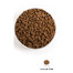 ACANA Heritage Adult Small Breed 6 kg