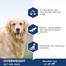 EUKANUBA Daily Care Overweight & Sterilised 12 kg