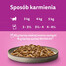 WHISKAS  Adult krmivo pro dospělé kočky v želé 40x85g