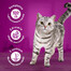 WHISKAS  Adult krmivo pro dospělé kočky v želé 40x85g