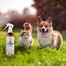 PETS Anti insect proti klíšťatům 250 ml