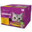 WHISKAS Adult Drůbeží hostina v omáčce 24x85g