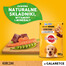 PEDIGREE Junior s kuřecím masem a rýží v želé 100 g x 24