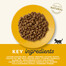 APPLAWS Cat Kitten Chicken 2 kg bezobilné krmivo s kuřecím masem pro koťata