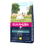 EUKANUBA Adult Small Breeds Chicken bohatá na čerstvé kuřecí 3 kg
