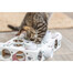 TRIXIE Cat Activity Paws'n'Treats Box zabawka edukacyjna dla kota 35×7×20 cm karton