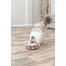 TRIXIE Cat Activity Hide'n'Sniff Bowl naučná hračka pro kočku, 18 cm, plast