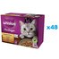 WHISKAS Adult 48x85g Drůbeží hranolky vlhké krmivo pro dospělé kočky v želé s: kuřecím masem, krůtím masem, drůbežím masem, kachním masem