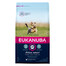 EUKANUBA EUKANUBA Active Adult Toy Breed bohatá na čerstvé kuřecí  2kg