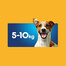 PEDIGREE DentaStix Daily Fresh pamlsky s kuřecí příchutí pro malá plemena 4x110g