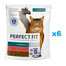 PERFECT FIT Sterile 1+ 6x750 g kompletní krmivo pro dospělé kočky s vysokým obsahem hovězího masa