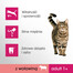 PERFECT FIT Cat 6x750 g Adult beef multi
