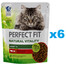 PERFECT FIT Natural Vitality 1+ kompletní krmivo pro dospělé kočky s hovězím a kuřecím masem 6x650 g