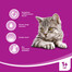 WHISKAS hovězí v omáčce 400 g