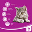WHISKAS Sterile kuřecí 1.4kg