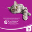 WHISKAS Adult kuřecí 7 kg