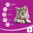 WHISKAS Adult kuřecí 7 kg