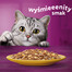 WHISKAS Adult 85g sáček vlhkého krmiva pro dospělé kočky v kuřecím želé
