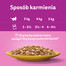 WHISKAS Adult 85g sáček vlhkého krmiva pro dospělé kočky v kuřecím želé