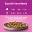 WHISKAS Pure Delight Drůbeží lívance s kuřecím, krůtím, drůbežím a kachním masem v želé 12x85g