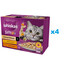 WHISKAS Adult sáček 48×85 g Creamy Variations mokré krmivo pro dospělé kočky v omáčce s: kuřecím masem a zeleninou, jehněčím masem a krůtím masem