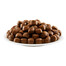 APPLAWS Dog Adult Large Breed Chicken 15 kg
