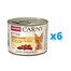 ANIMONDA Carny Kitten drůbeží koktejl 6 x 200 g