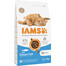IAMS Cat Adult All Breeds Ocean Fish 3 kg
