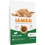 IAMS ProActive Health Adult with Lamb & Chicken 10kg