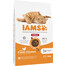 IAMS For Vitality Indoor s kuřecím masem 10 kg