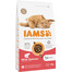 Cat Adult All Breeds Salmon 3 kg