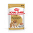ROYAL CANIN Pomeranian Adult 48x85g karma mokra, pasztet dla psów dorosłych rasy szpic miniaturowy