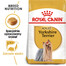 ROYAL CANIN Yorkshire Terrier Adult 2x500 g suché krmivo pro dospělé psy plemene Yorkshire teriér