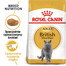 ROYAL CANIN British Shorthair krmivo pro dospělé Britské krátkosrsté kočky 3 x 400 g