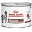 ROYAL CANIN Vet dog/cat recovery 24x195 g pro psy a kočky během intenzivní péče a po operaci, během rekonvalescence