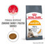 ROYAL CANIN Hair&Skin Care 2x2 kg suché krmivo pro dospělé kočky, lesklou srst a zdravou kůži