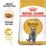 ROYAL CANIN British Shorthair krmivo pro dospělé Britské krátkosrsté kočky 12x400 g