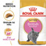 ROYAL CANIN Kitten British shorthair 2x2 kg krmivo pro koťata, do 12 měsíců, plemeno Britská krátkosrstá kočka
