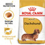 ROYAL CANIN suché krmivo pro jezevčíky pro dospělé psy plemene jezevčík 2x1,5 kg