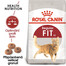 ROYAL CANIN REGULAR FIT 32 2x2 kg suché krmivo pro dospělé kočky, podporuje ideální kondici