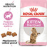 ROYAL CANIN Kitten Sterilised suché krmivo 2x2 kg pro sterilizovaná koťata od 4 do 12 měsíců
