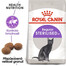 ROYAL CANIN Sterilised 37 4x2 kg suché krmivo pro dospělé, sterilizované kočky