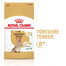 ROYAL CANIN Yorkshire Terrier 8+ Adult 2x1,5 kg suché krmivo pro starší psy plemene Yorkshire teriér, starší 8 let