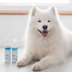VET EXPER Detox Care Pure White Shampoo 250 ml szampon dla psów i kotów o jasnej sierści