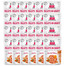 Care Fillets in gravy savory salmon 24 x 85 g filety łososia w sosie