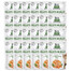 Care Fillets in Jelly tuńczyk saszetki dla kota 24 x 85 g